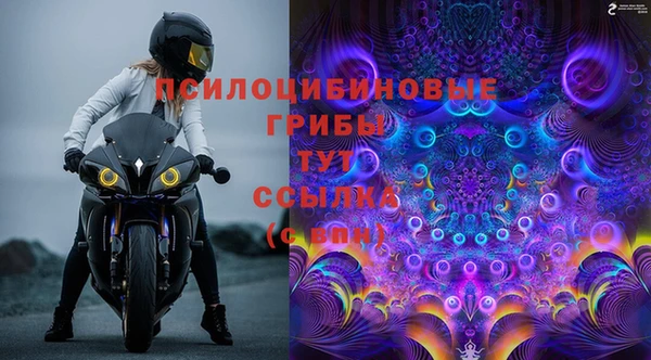 ECSTASY Алексеевка